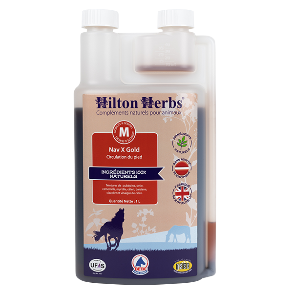 Hilton Herbs NAV X GOLD: Horse laminitis and navicular syndrome