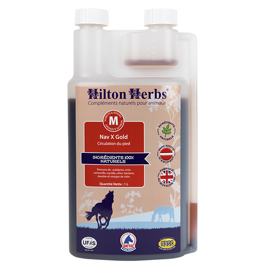 Hilton Herbs NAV X GOLD: Fourbure du cheval et syndrome naviculaire