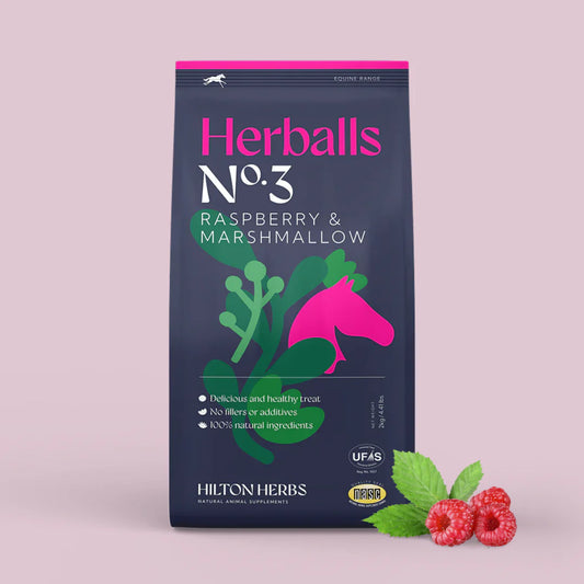 sans sucre bonbons cheval