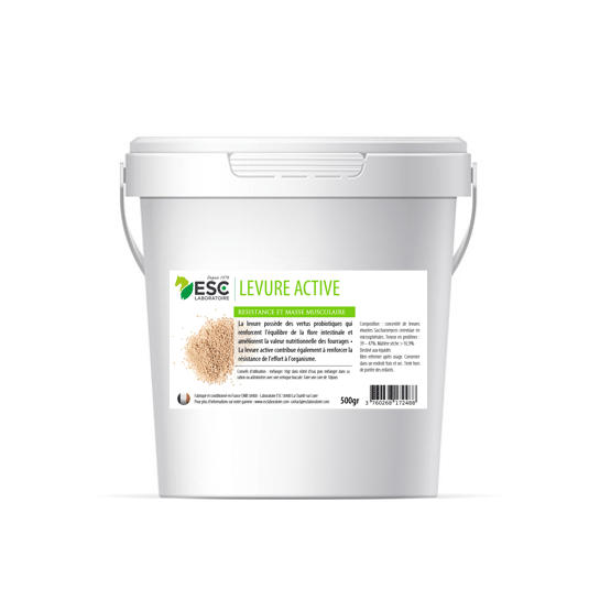 levure active esc complément cheval