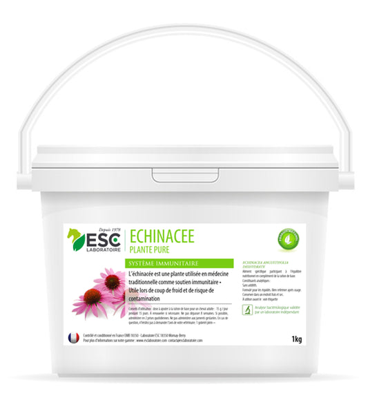 echinacee cheval système immunitaire ESC suisse