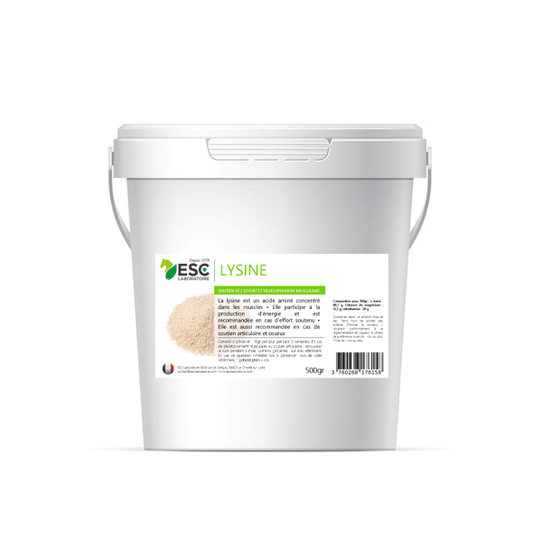 lysine muscle cheval