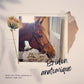 bridon anatomique cheval