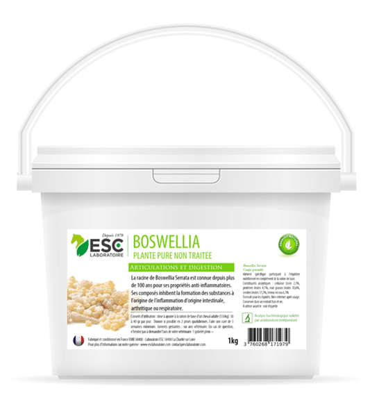 boswellia serrata plante chevaux complément Suisse
