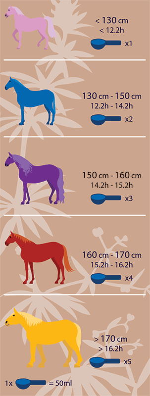Hilton Herbs INSU-LITE Surpoids et métabolisme, pour chevaux