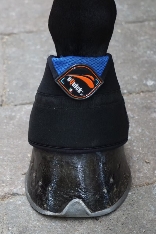 thérapie du froid cheval 