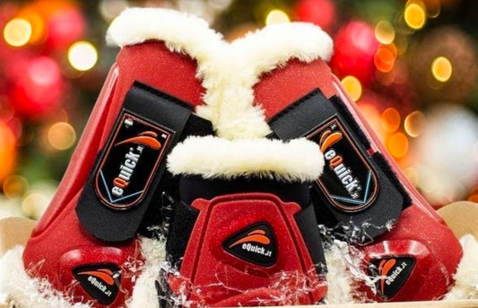 Set eLight édition Nöel