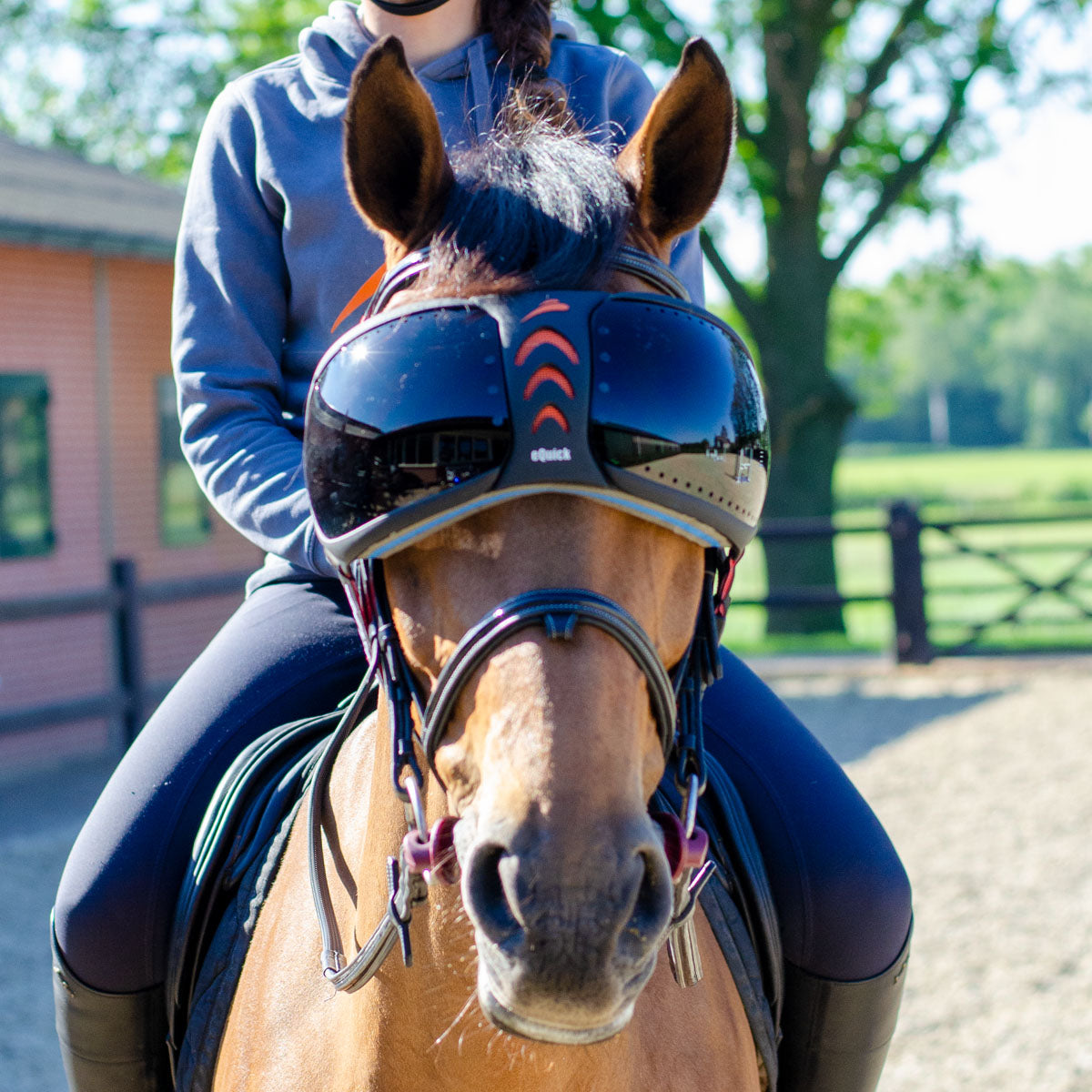 lunette pour cheval 