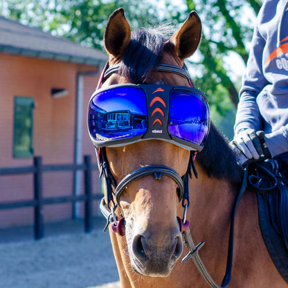 lunette cheval uvéite maladie yeux cheval 