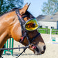 lunette pour cheval 