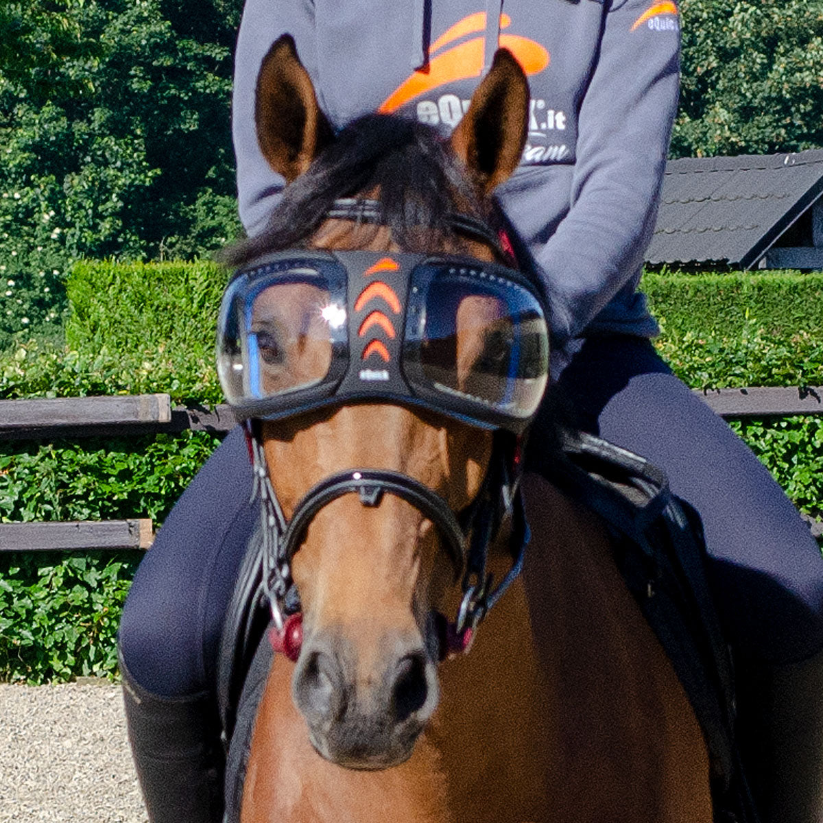 lunette pour cheval 