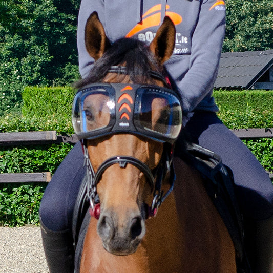lunette pour cheval 