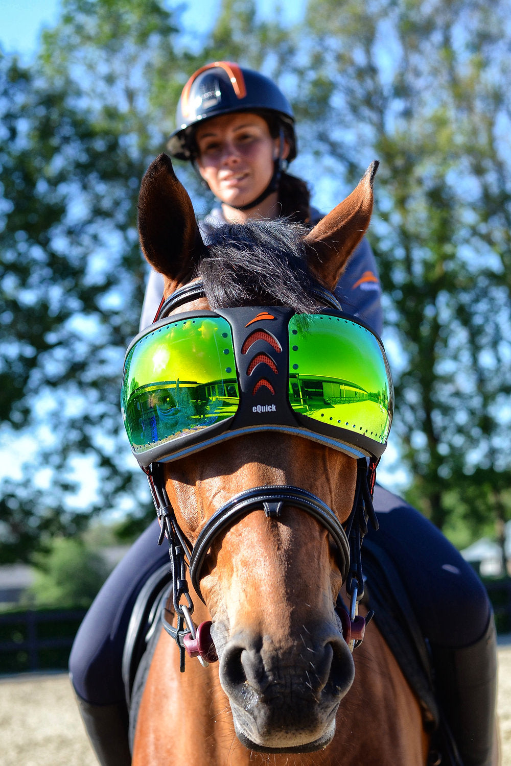 Lunette evysor vert
